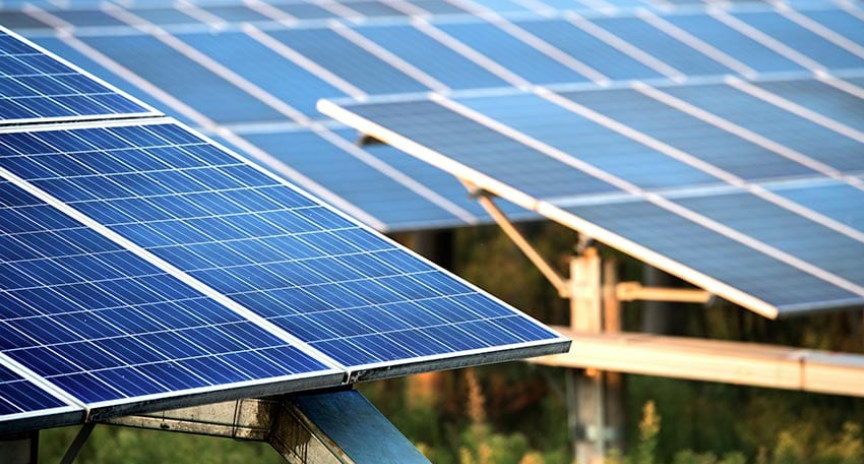 Australia’s biggest “solar garden” seeks to power 300 homes in NSW Riverina region