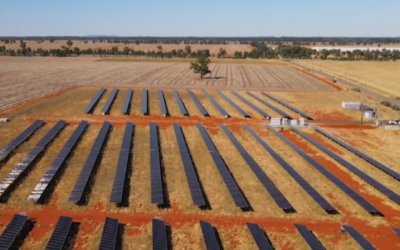 Renters go bush to buy a slice of sunshine